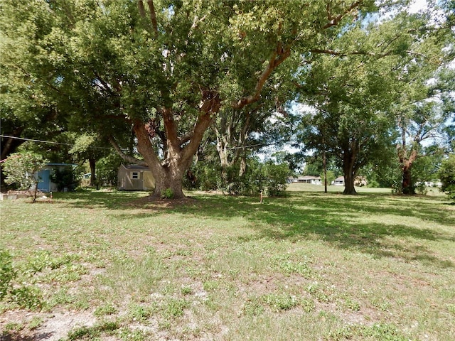 10308 Fore Dr, Tampa, FL 33612 - view of green lawn