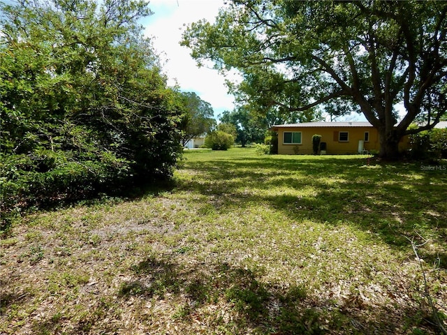 10308 Fore Dr, Tampa, FL 33612 - view of green lawn