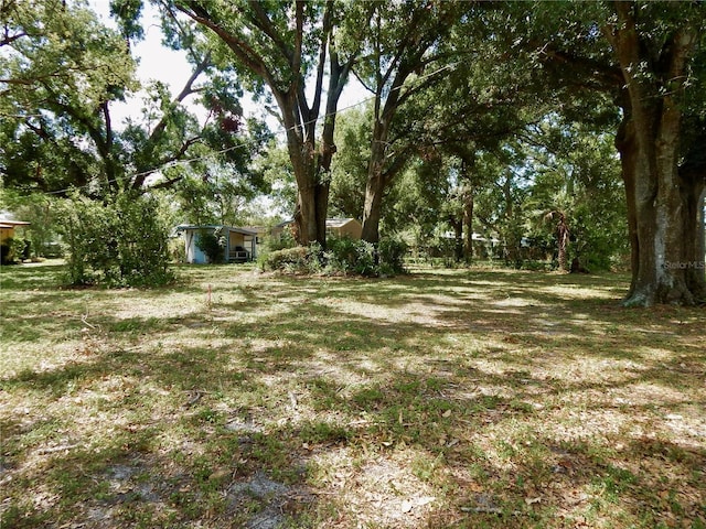 10308 Fore Dr, Tampa, FL 33612 - view of yard
