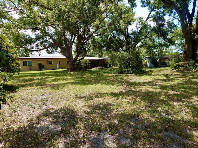 10308 Fore Dr, Tampa, FL 33612 - view of green lawn