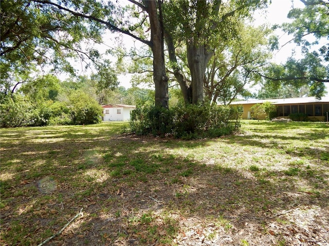 10308 Fore Dr, Tampa, FL 33612 - view of green lawn