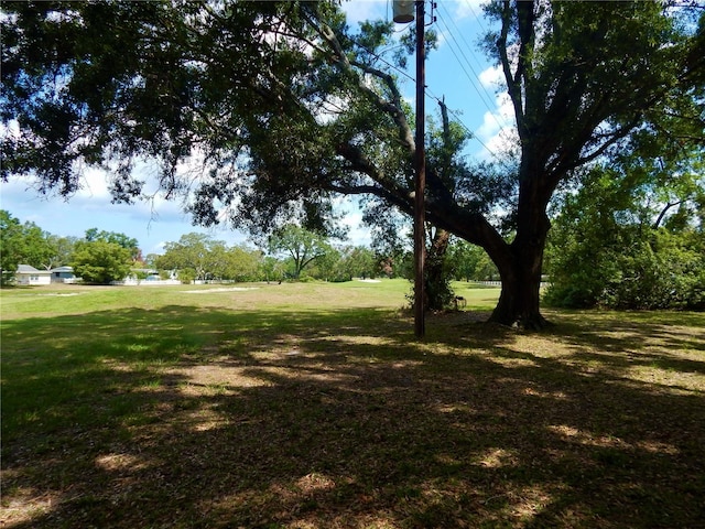 10308 Fore Dr, Tampa, FL 33612 - view of green lawn