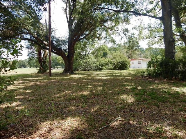 10308 Fore Dr, Tampa, FL 33612 - view of yard