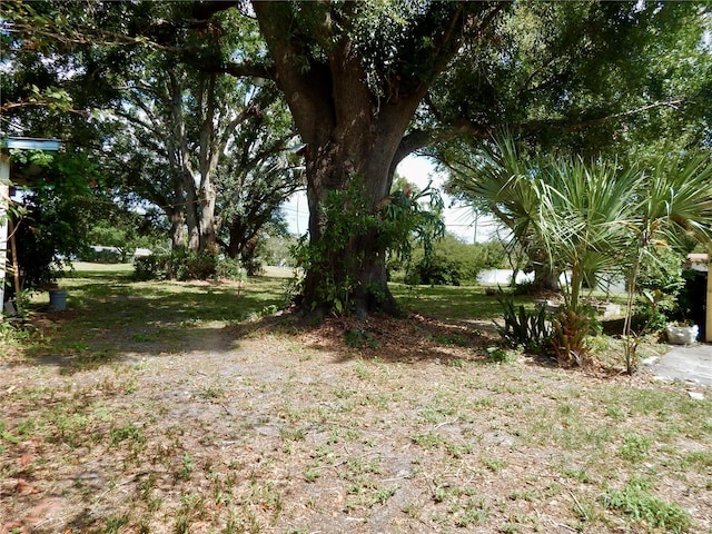 10308 Fore Dr, Tampa, FL 33612 - view of yard