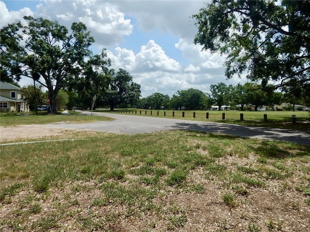 10308 Fore Dr, Tampa, FL 33612 - view of yard