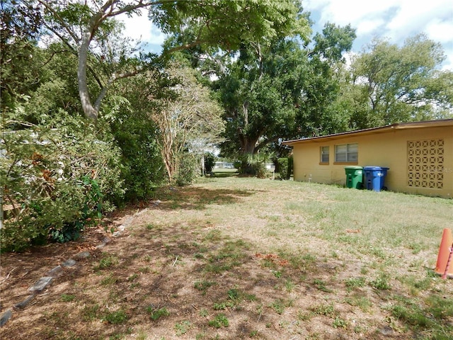 10308 Fore Dr, Tampa, FL 33612 - view of yard