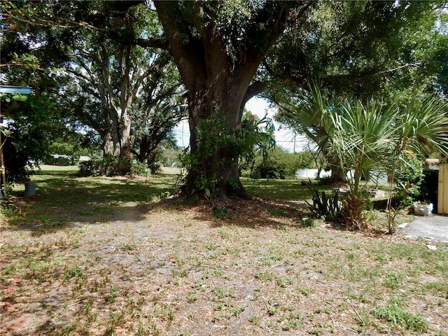 10308 Fore Dr, Tampa, FL 33612 - view of yard
