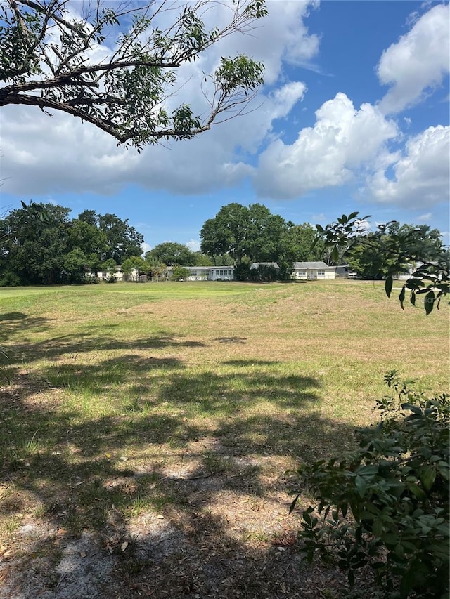 10308 Fore Dr, Tampa, FL 33612 - view of green lawn