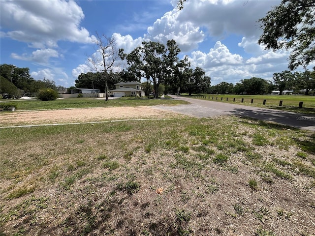 10308 Fore Dr, Tampa, FL 33612 - view of yard