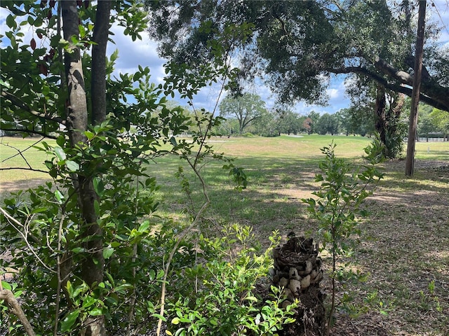 10308 Fore Dr, Tampa, FL 33612 - view of undeveloped land