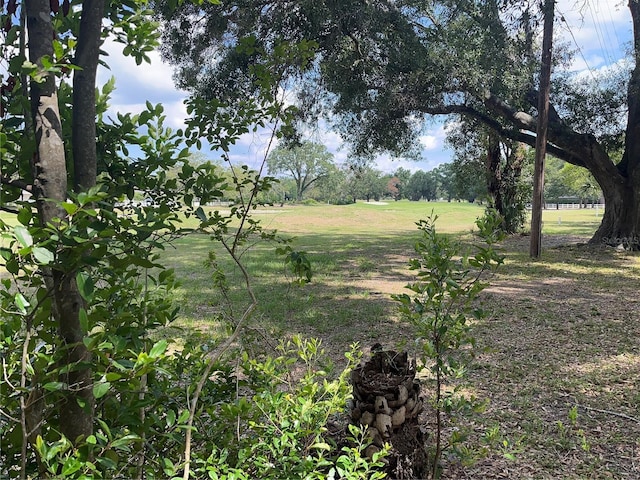 10308 Fore Dr, Tampa, FL 33612 - view of undeveloped land