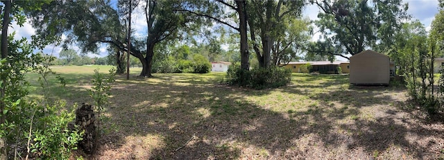 10308 Fore Dr, Tampa, FL 33612 - view of yard