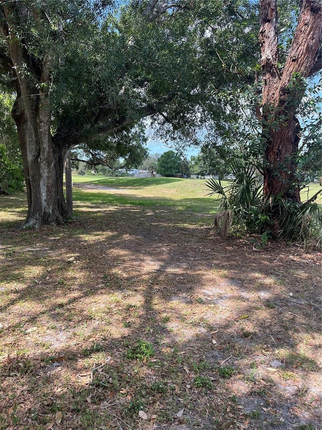 10308 Fore Dr, Tampa, FL 33612 - view of yard