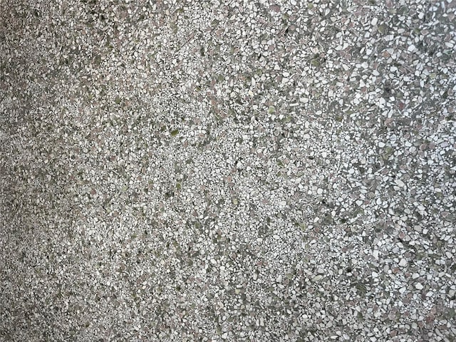 10308 Fore Dr, Tampa, FL 33612 - view of a document