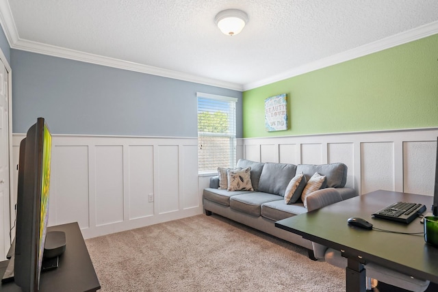 5401 Match Point Pl, Lithia, FL 33547 - carpeted living room with ornamental molding, a textured ceiling, a wainscoted wall, and a decorative wall