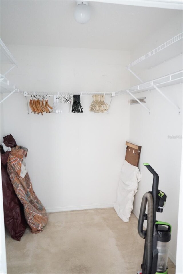 2325 Brookfield Greens Cir Unit 41, Sun City Center, FL 33573 - walk in closet featuring carpet floors