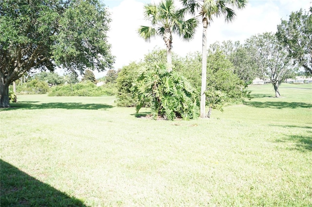 2325 Brookfield Greens Cir Unit 41, Sun City Center, FL 33573 - view of grassy yard