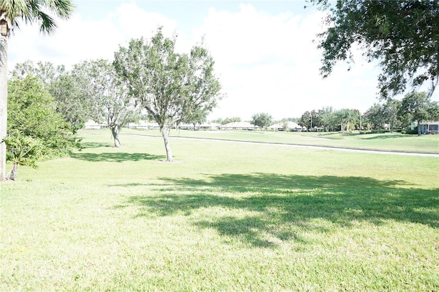 2325 Brookfield Greens Cir Unit 41, Sun City Center, FL 33573 - view of grassy yard