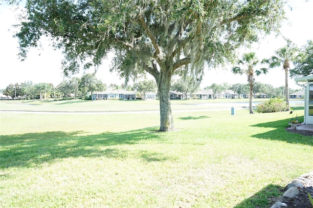 2325 Brookfield Greens Cir Unit 41, Sun City Center, FL 33573 - view of green lawn