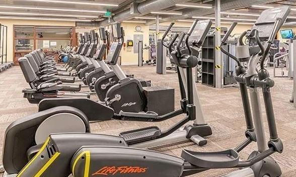 2325 Brookfield Greens Cir Unit 41, Sun City Center, FL 33573 - exercise room featuring carpet
