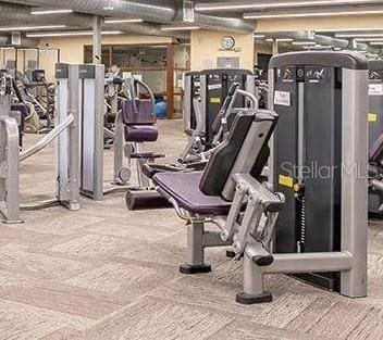 2325 Brookfield Greens Cir Unit 41, Sun City Center, FL 33573 - exercise room with carpet floors