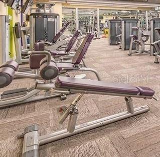 2325 Brookfield Greens Cir Unit 41, Sun City Center, FL 33573 - workout area with carpet flooring