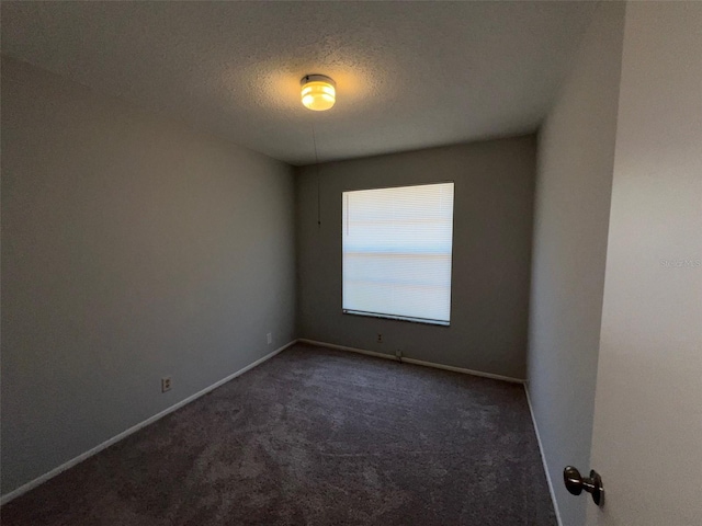 14667 Pine Glen Crk Unit 14667, Lutz, FL 33559 - unfurnished room with a textured ceiling, dark colored carpet, and baseboards