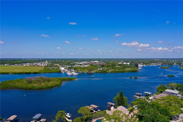 1330 Belcher Dr, Tarpon Springs, FL 34689 - photo 70
