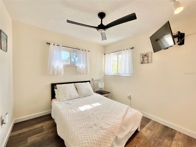 1330 Belcher Dr, Tarpon Springs, FL 34689 - photo 27