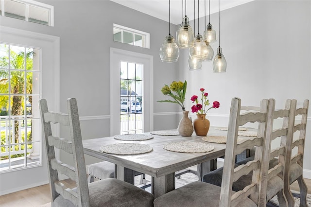 5225 Brighton Shore Dr, Apollo Beach, FL 33572 - dining room with plenty of natural light and light wood-style floors