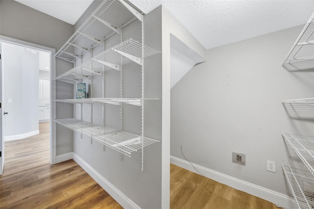 5225 Brighton Shore Dr, Apollo Beach, FL 33572 - spacious closet with wood finished floors
