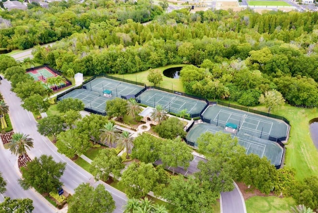 5225 Brighton Shore Dr, Apollo Beach, FL 33572 - aerial view