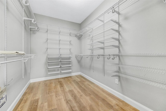 5225 Brighton Shore Dr, Apollo Beach, FL 33572 - walk in closet with wood finished floors