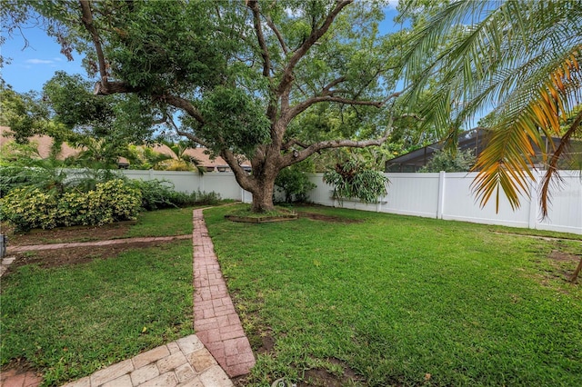 9674 104th Ave, Largo, FL 33773 - view of yard