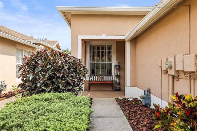 31108 Whitlock Dr, Wesley Chapel, FL 33543 - doorway to property with stucco siding