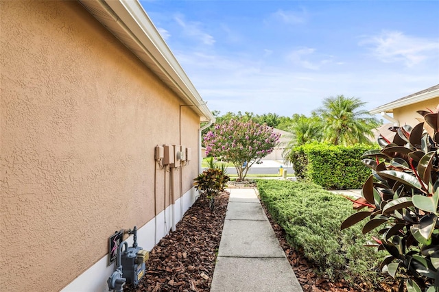 31108 Whitlock Dr, Wesley Chapel, FL 33543 - view of yard