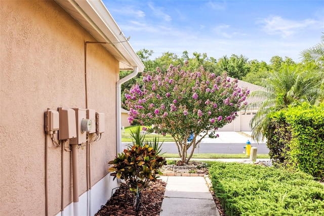 31108 Whitlock Dr, Wesley Chapel, FL 33543 - view of yard with a garage