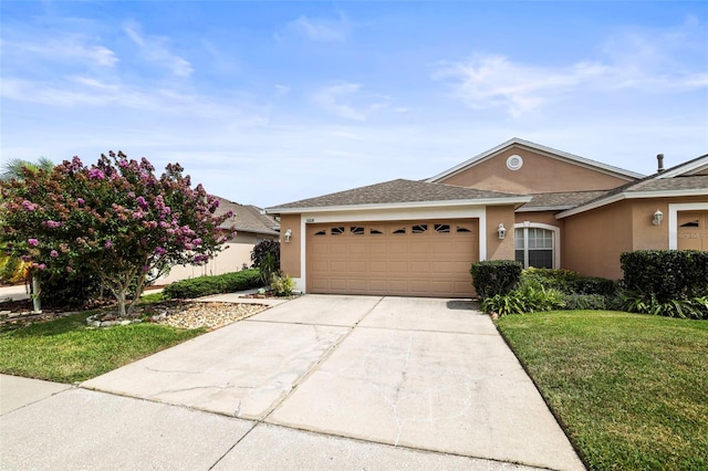 31108 Whitlock Dr, Wesley Chapel, FL 33543 - ranch-style home with stucco siding, driveway, an attached garage, a front yard, and roof with shingles