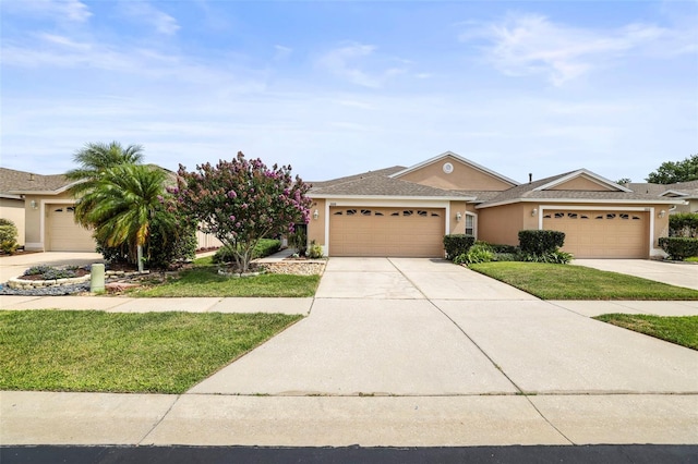 31108 Whitlock Dr, Wesley Chapel, FL 33543 - ranch-style house featuring stucco siding, concrete driveway, and a front lawn
