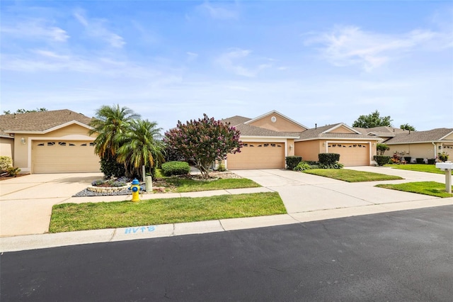 31108 Whitlock Dr, Wesley Chapel, FL 33543 - ranch-style house featuring concrete driveway, stucco siding, and an attached garage