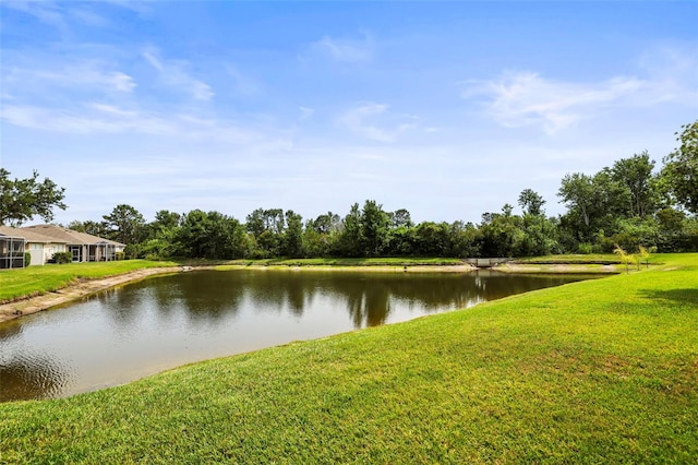 31108 Whitlock Dr, Wesley Chapel, FL 33543 - water view