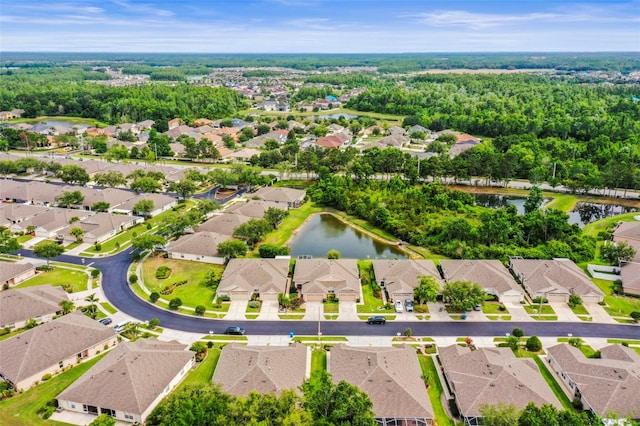 31108 Whitlock Dr, Wesley Chapel, FL 33543 - aerial view of residential area with a nearby body of water