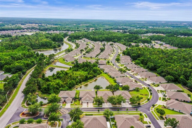 31108 Whitlock Dr, Wesley Chapel, FL 33543 - aerial perspective of suburban area featuring a large body of water