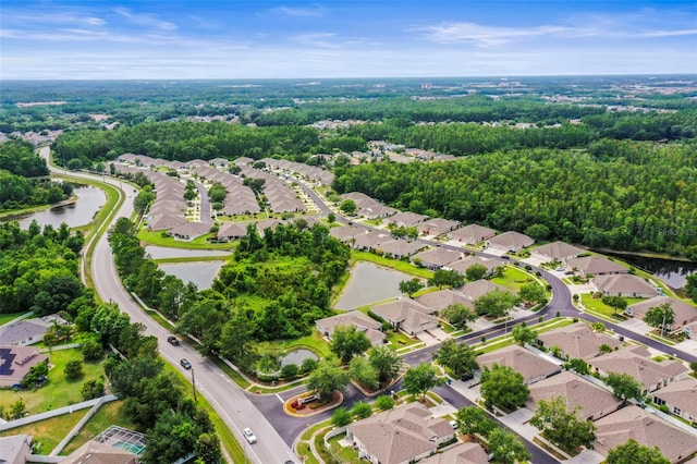 31108 Whitlock Dr, Wesley Chapel, FL 33543 - aerial view of property's location with nearby suburban area and a nearby body of water