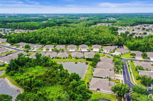 31108 Whitlock Dr, Wesley Chapel, FL 33543 - aerial view of residential area featuring a large body of water and a heavily wooded area