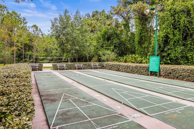 31108 Whitlock Dr, Wesley Chapel, FL 33543 - surrounding community with shuffleboard