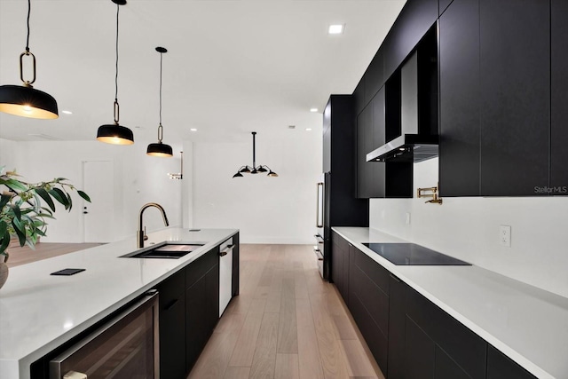 908 W Fribley St, Tampa, FL 33603 - kitchen with dark cabinetry, a sink, beverage cooler, modern cabinets, and black electric cooktop