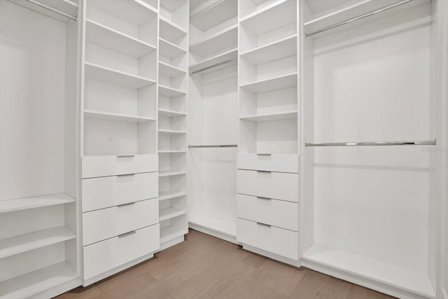 908 W Fribley St, Tampa, FL 33603 - walk in closet with light wood finished floors