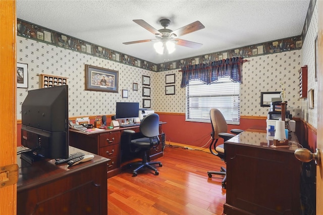 14168 Fennsbury Dr, Tampa, FL 33624 - office space with ceiling fan, wallpapered walls, wood finished floors, a textured ceiling, and a wainscoted wall