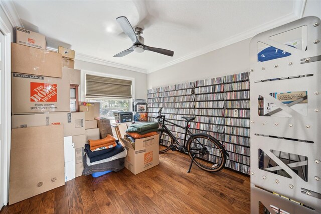 1120 43rd Ave N, Saint Petersburg, FL 33703 - photo 40